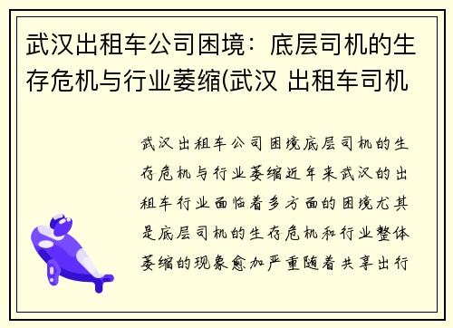 武汉出租车公司困境：底层司机的生存危机与行业萎缩(武汉 出租车司机)