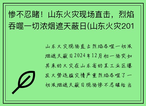 惨不忍睹！山东火灾现场直击，烈焰吞噬一切浓烟遮天蔽日(山东火灾2019)